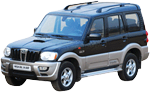 Large/Capacity Cars